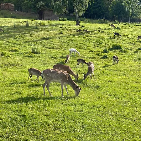 Mosel Lounge Pool Table Football Table Garden Terrace Апартаменты