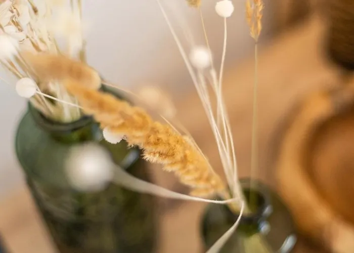 Mosel Lounge Pool Table Football Table Garden Terrace Apartament