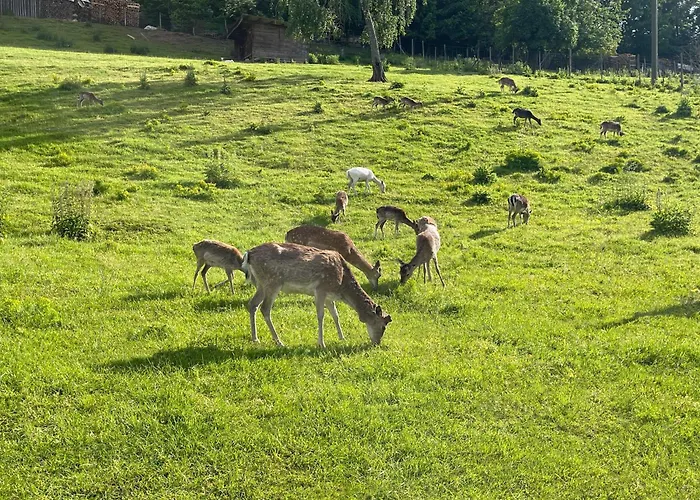 Mosel Lounge Pool Table Football Table Garden Terrace Apartament